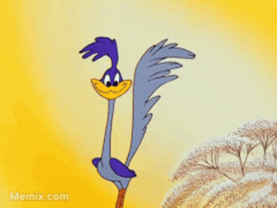 Cat Laying On Laptop Saying But Here's The Contacter GIF