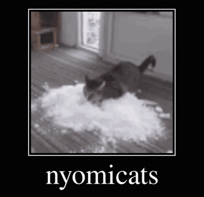Cat Laying On Pile Of Flour GIF