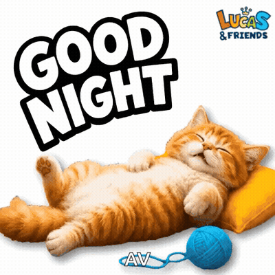 Cat Laying On Pillow Saying Good Night GIF