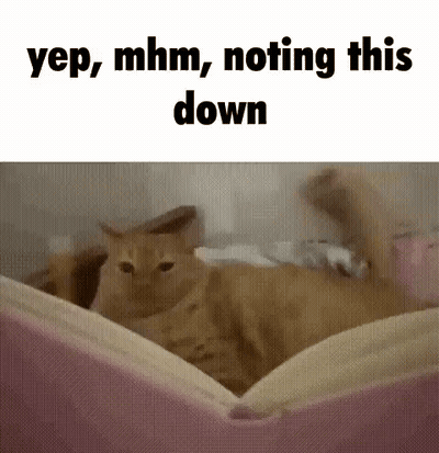Cat Laying On Pink Pillow GIF