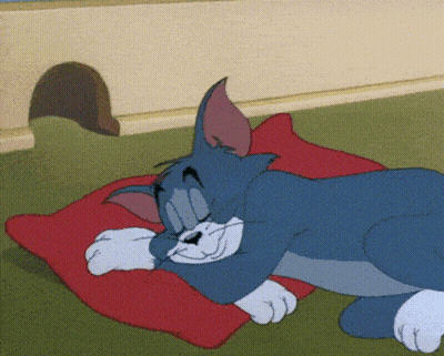 Cat Laying On Red Pillow GIF