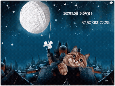 Cat Laying On Roof With Ball Of Yarn GIF