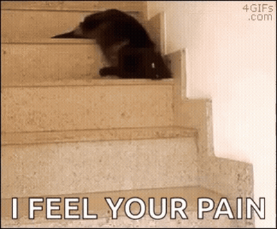 Cat Laying On Stairs Saying I Feel Your Pain GIF