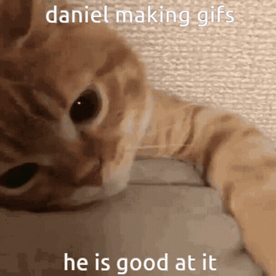 Cat Laying On Table Daniel Making GIFs GIF