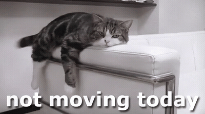 Cat Laying On White Couch Not Moving Today GIF