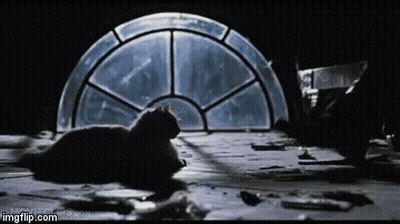 Cat Laying On Wooden Floor In Front Of Stained Glass Window GIF