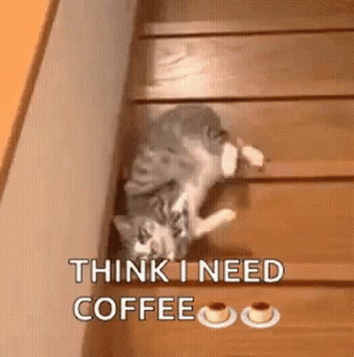 Cat Laying On Wooden Stairs GIF