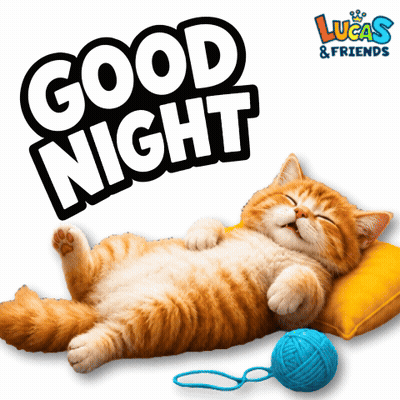 Cat Laying on Yellow Pillow Saying Good Night