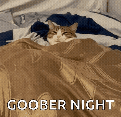 Cat Laying Under Blanket Saying Goober Night GIF