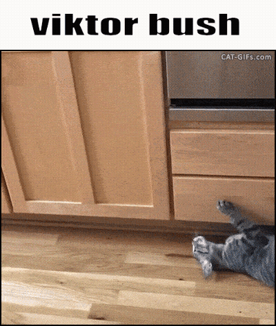 Cat Laying Under Cabinet With Viktor Bush Name GIF
