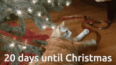 Cat Laying Under Christmas Tree 20 Days Until Christmas GIF