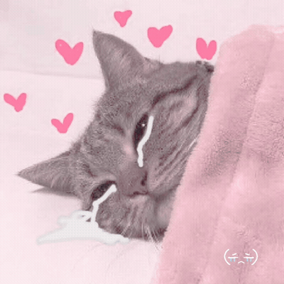 Cat Laying Under Pink Blanket With Hearts GIF