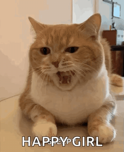 Cat Laying With Open Mouth And Happy Girl Text GIF