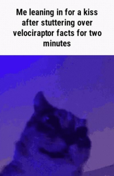 Cat Leaning For Kiss After Stuttering Velociraptor Facts GIF