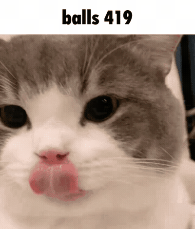 Cat Licking Lips Balls 419 GIF