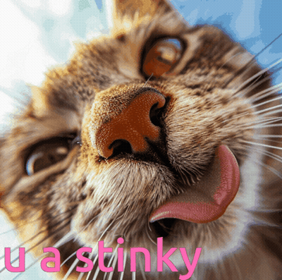 Cat Licking Nose With Ua Stinky GIF