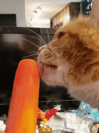 Cat Licking Popsicle In Front Of TV GIF