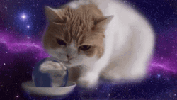 Cat Licking Rotating Globe GIF
