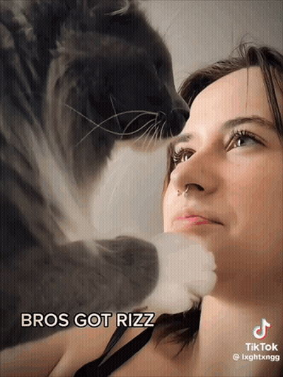 Cat Licking Woman's Face Bros Got Rizz GIF