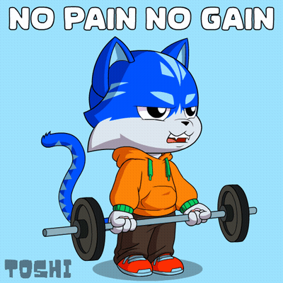 Cat Lifting Barbell No Pain No Gain GIF