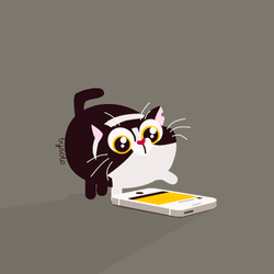 Cat Liking On Instagram GIF