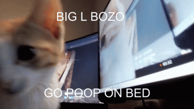 Cat Looking At Big L Bozo Go Poop GIF