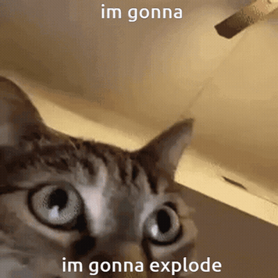 Cat Looking At Camera Saying Im Gonna Im Gonna Explode GIF