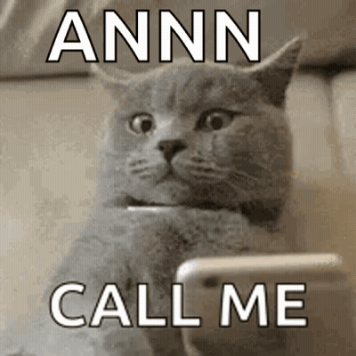 Cat Looking At Cell Phone Saying Annn Call Me GIF