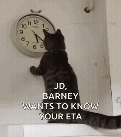 Cat Looking At Clock Saying Barney Want Your ETA GIF