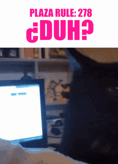 Cat Looking At Computer On Plaza Rule 278 Poster GIF