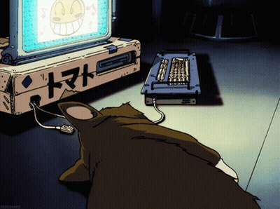 Cat Looking At Computer Screen With Chinese Writing GIF