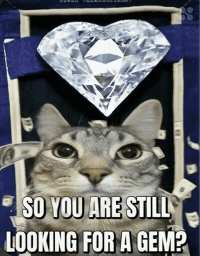 Cat Looking At Heart Shaped Diamond Saying So You Are Still Looking For A Gem GIF