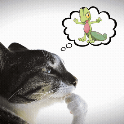 Cat Looking At Lizard Thought Bubble GIF