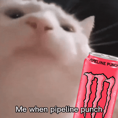 Cat Looking At Monster Energy Pipeline Punch GIF