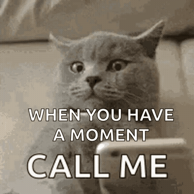 Cat Looking At Phone Saying Call Me GIF