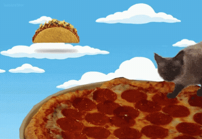 Cat Looking At Pizza With Taco In Sky GIF