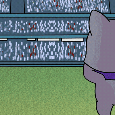 Cat Looking At Scoreboard Saying A GIF