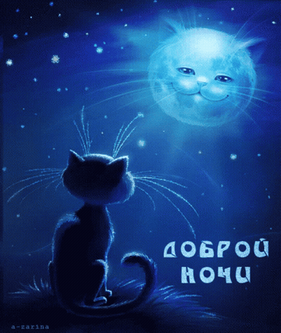 Cat Looking At Smiling Full Moon GIF