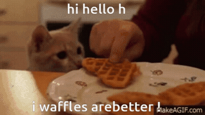 Cat Looking At Waffles GIF