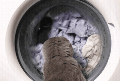 Cat Looking Into Washing Machine Full Of Laundry GIF