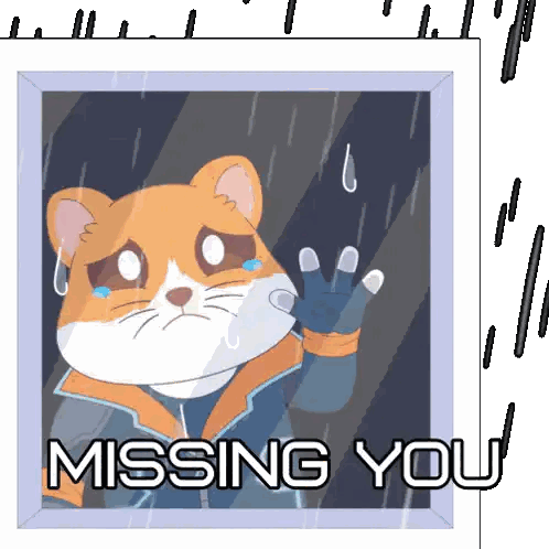 Cat Looking Out Window Missing You Sticker