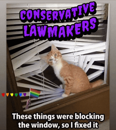 Cat Looking Out Window With Blinds GIF