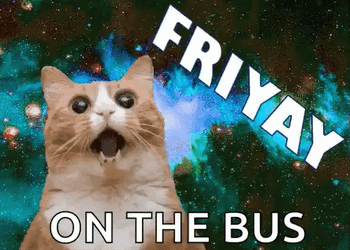 Cat Looking Shocked Friday GIF