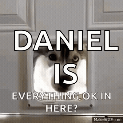 Cat Looking Through Cat Door Saying Daniel Is Everything Ok In Here GIF