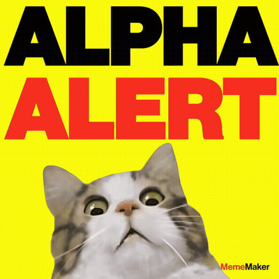 Cat Looking Up At Alert Poster GIF