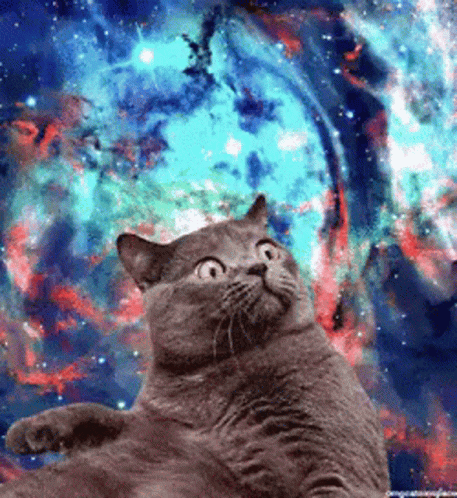 Cat Looking Up At Colorful Galaxy GIF