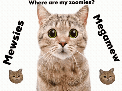 Cat Looking Up Saying Mewsies Megamew GIF