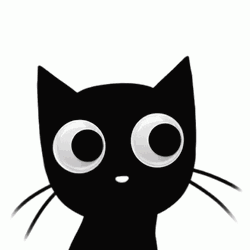 Cat Lover Animated Black Cat GIF