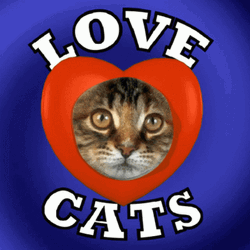 Cat Lover Cat Face On Heart GIF
