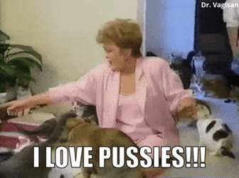 Cat Lover I Love Pussies GIF